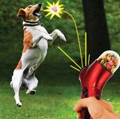 Pet Toy